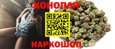 сатива Новодвинск