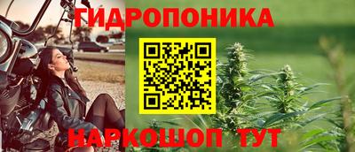 не бодяженный Новозыбков