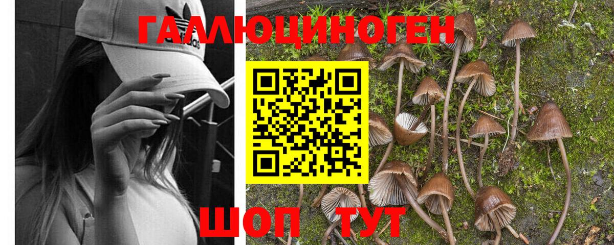 Псилоцибиновые грибы мухоморы  Галлюциногенные грибы мицелий  Вход с VPN  Тавда 