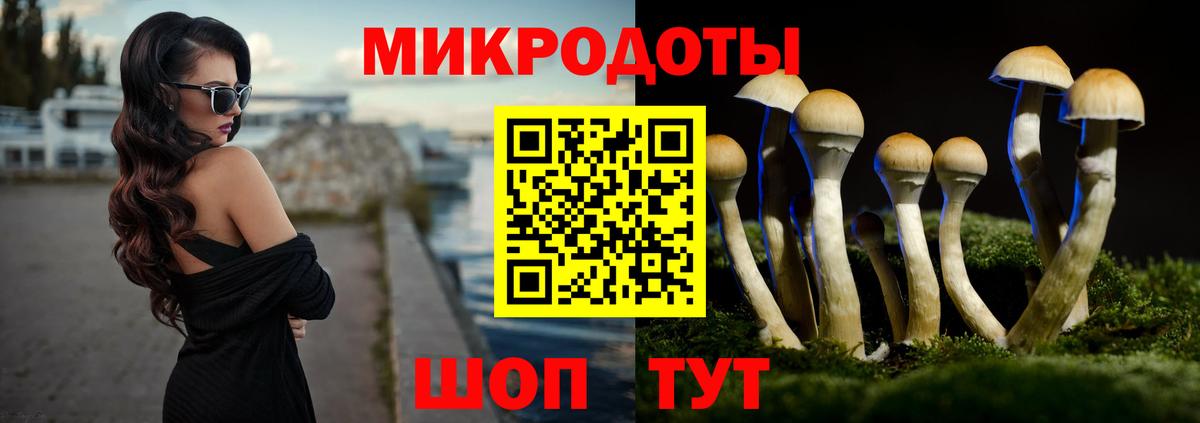 Псилоцибиновые грибы Psilocybine cubensis Тавда